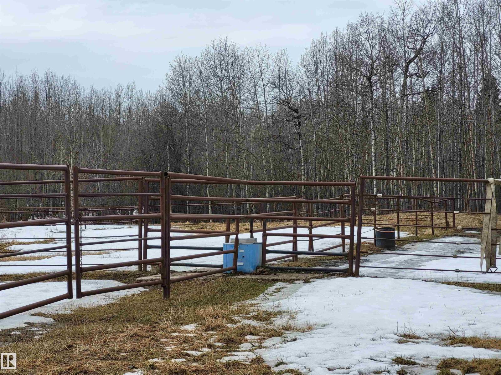 48030 Range Road 84, Rural Brazeau County, Alberta  T7A 2A1 - Photo 10 - E4484172