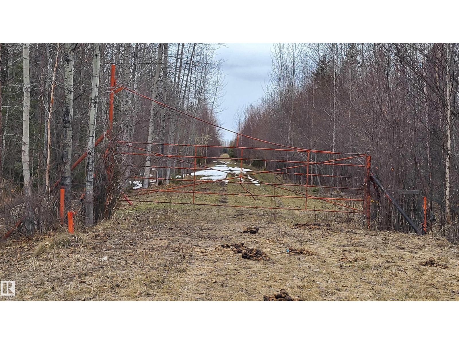 48030 Range Road 84, Rural Brazeau County, Alberta  T7A 2A1 - Photo 48 - E4484172