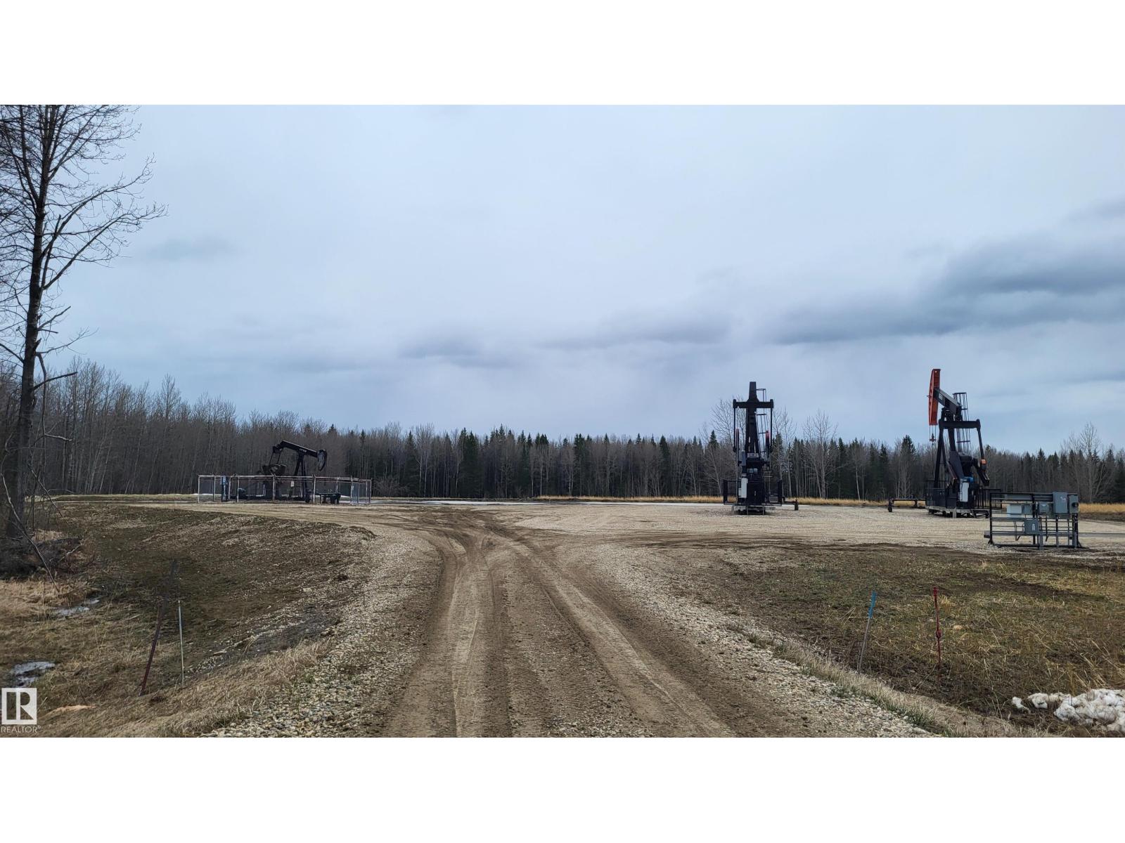 48030 Range Road 84, Rural Brazeau County, Alberta  T7A 2A1 - Photo 50 - E4484172