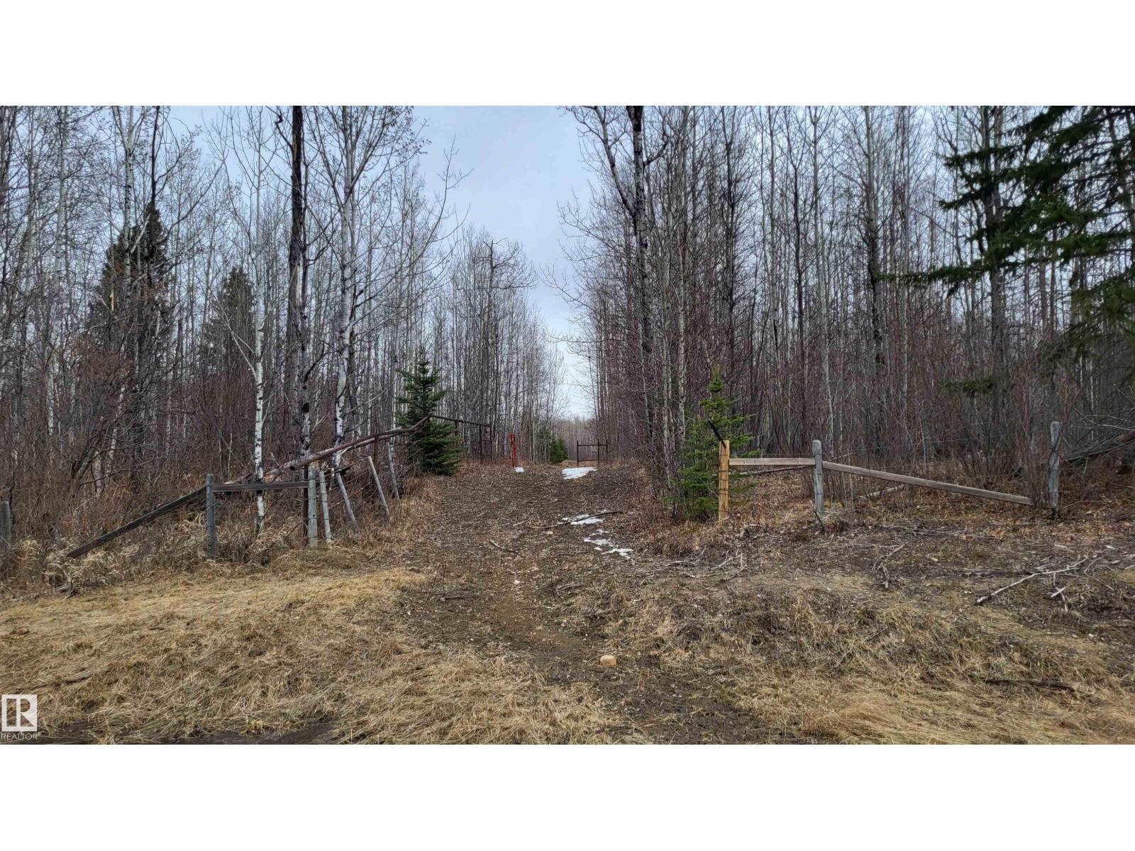 48030 Range Road 84, Rural Brazeau County, Alberta  T7A 2A1 - Photo 52 - E4484172