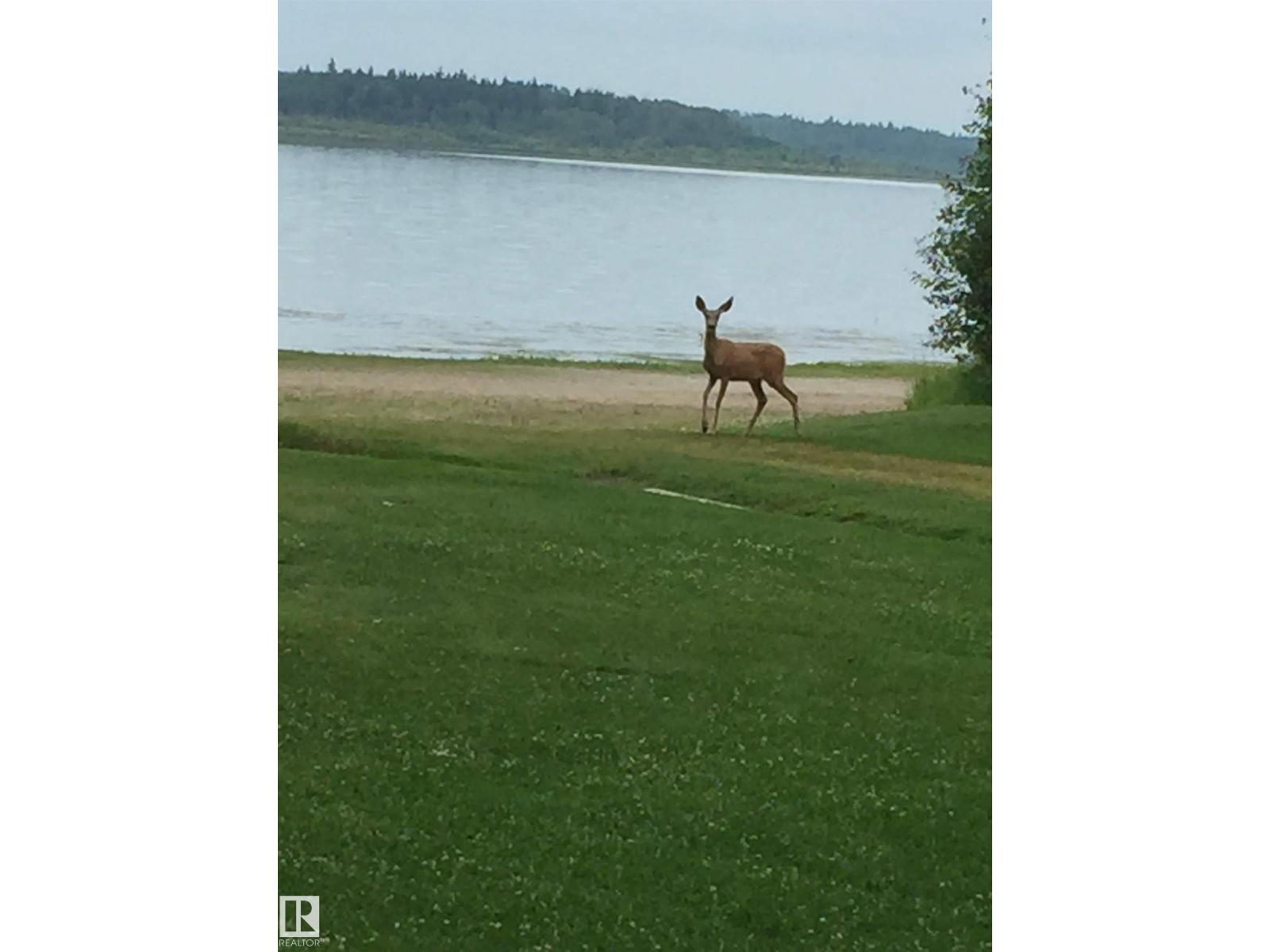 6108 Willow Wy, Rural Lac Ste. Anne County, Alberta  T0E 1V0 - Photo 54 - E4484428
