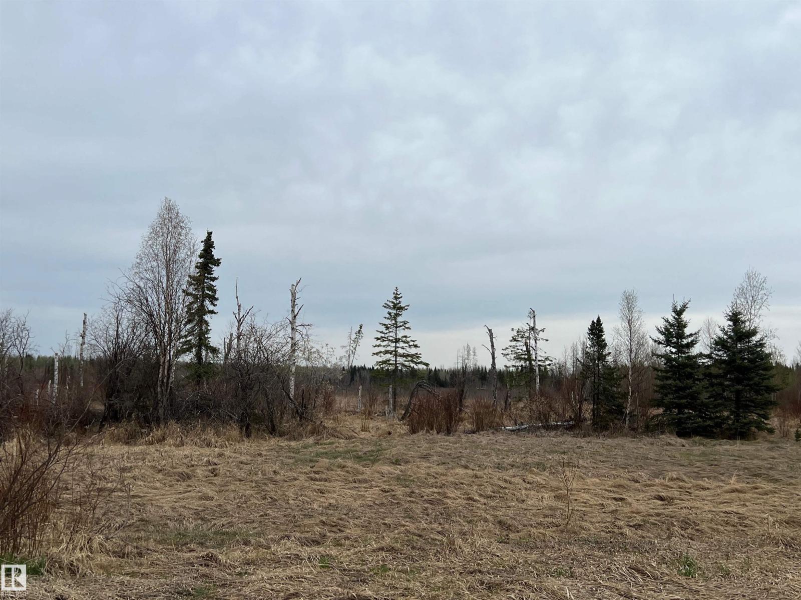 Twp 484 & Rr84, Rural Brazeau County, Alberta T7A 2A1 - Photo 3 - E4484555
