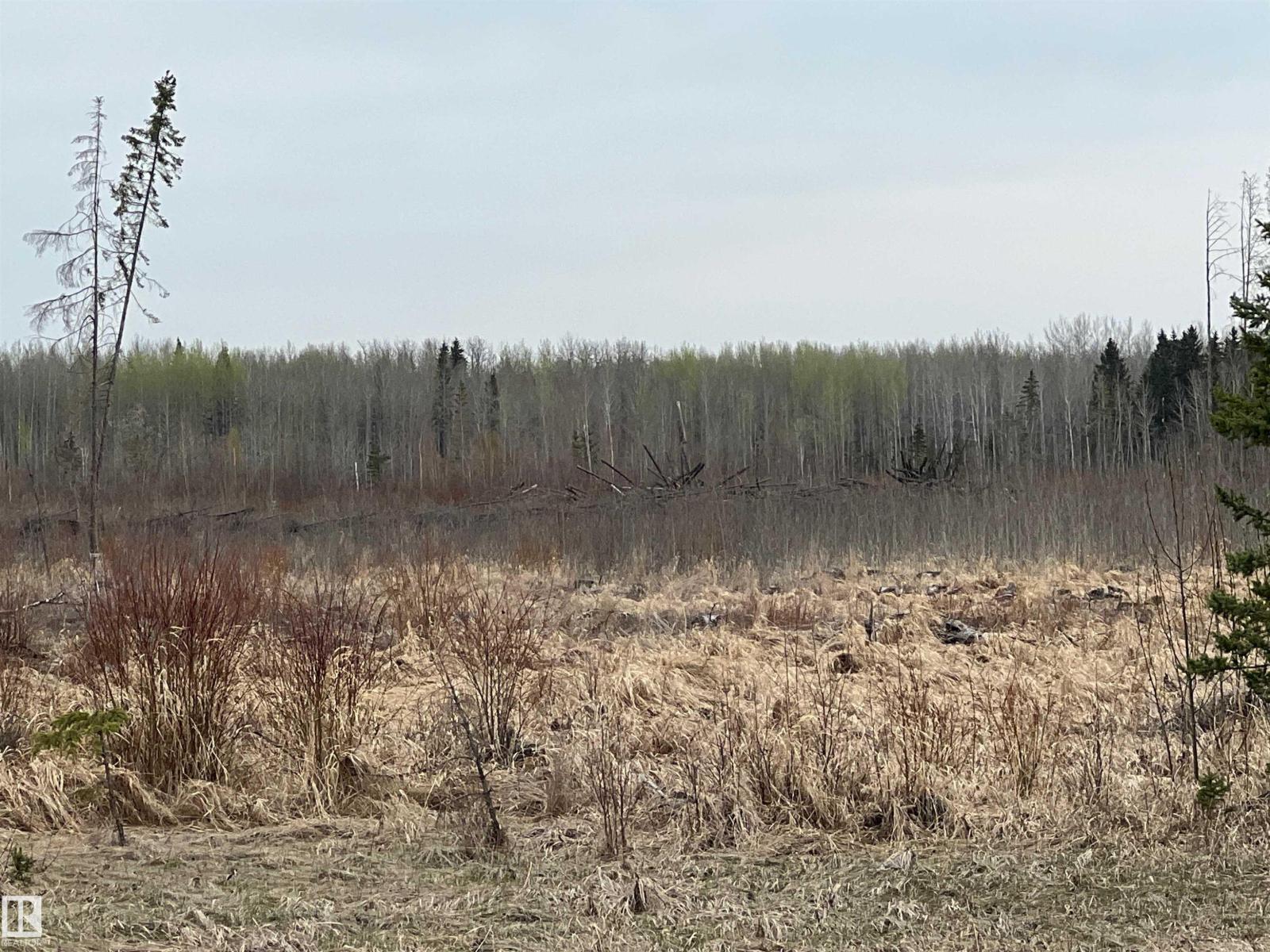 Twp 484 & Rr84, Rural Brazeau County, Alberta T7A 2A1 - Photo 4 - E4484555