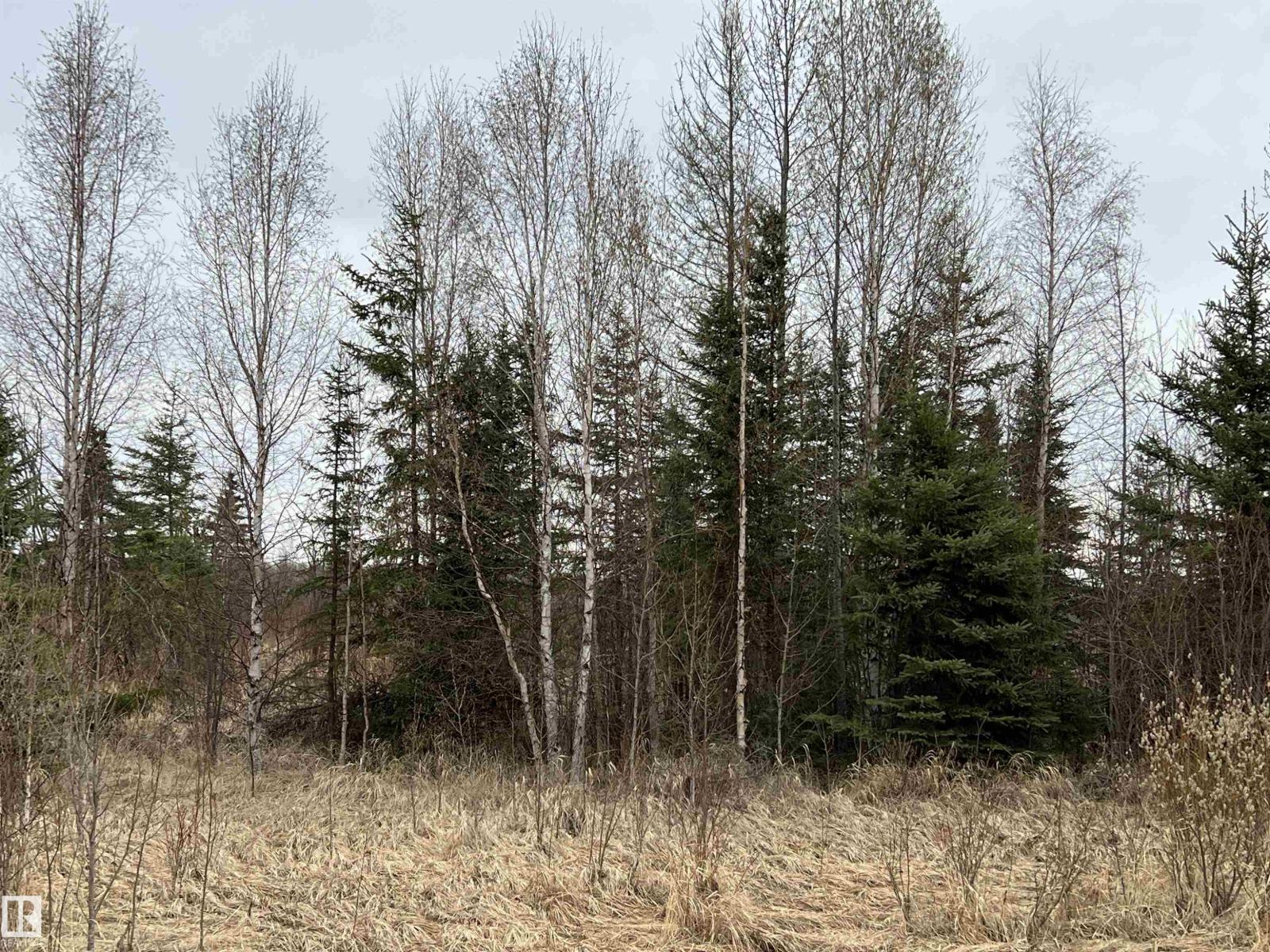 Twp 484 & Rr84, Rural Brazeau County, Alberta T7A 2A1 - Photo 5 - E4484555