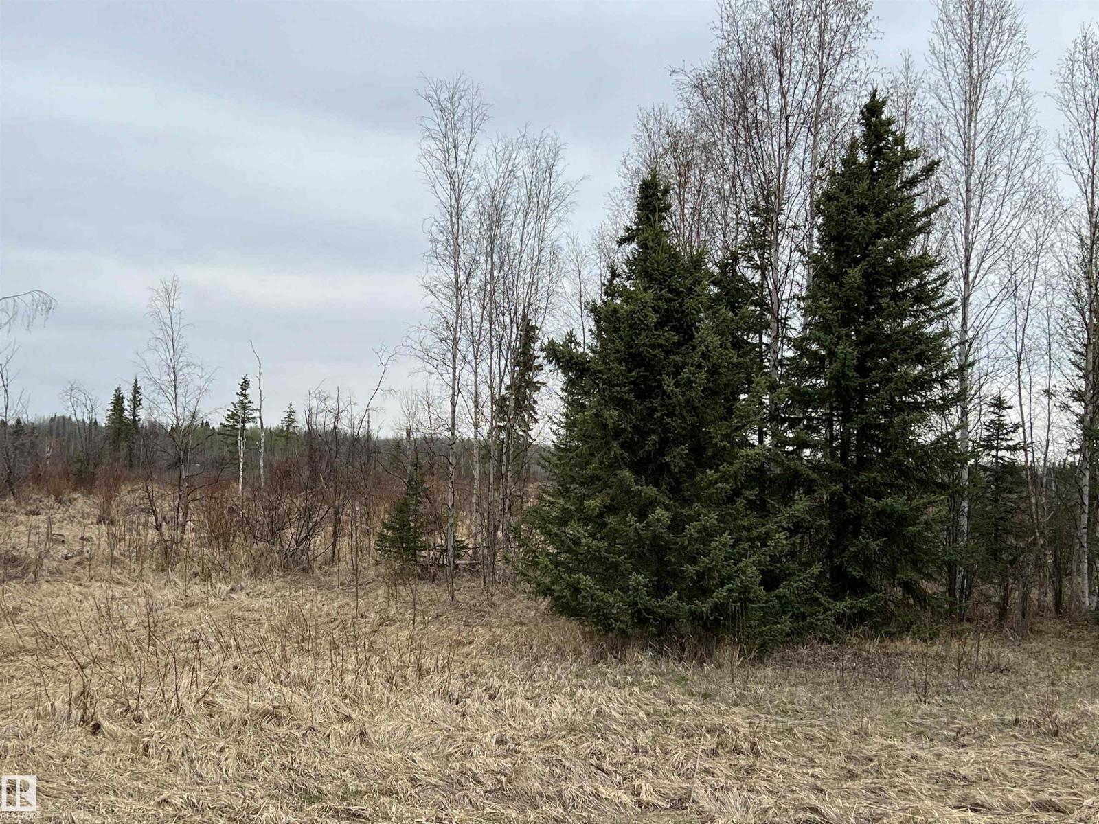 Twp 484 & Rr84, Rural Brazeau County, Alberta T7A 2A1 - Photo 6 - E4484555