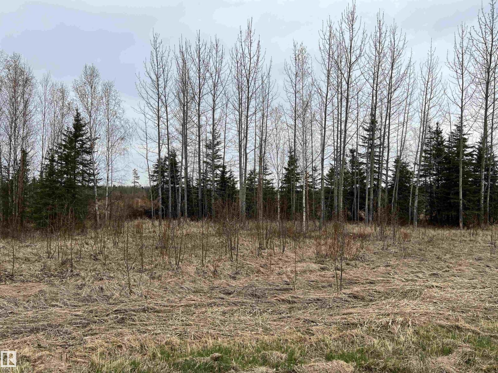 Twp 484 & Rr84, Rural Brazeau County, Alberta T7A 2A1 - Photo 7 - E4484555