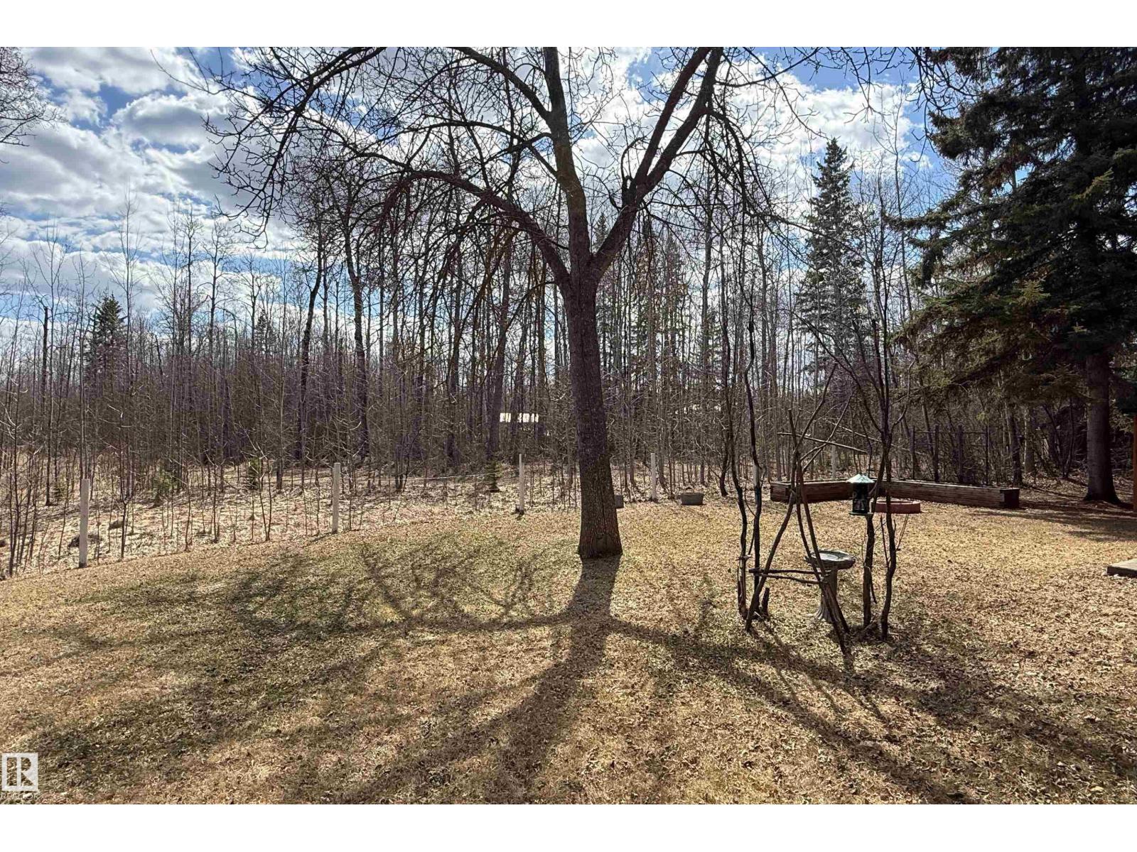1411 Park Cr, Rural Lac Ste. Anne County, Alberta  T0E 0A2 - Photo 43 - E4485052
