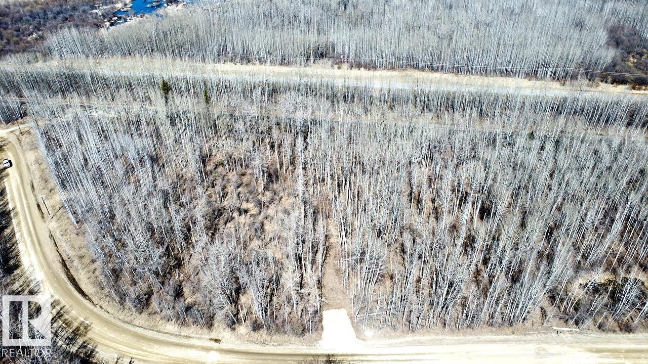 4312 Lakeshore Rd, Rural Parkland County, Alberta  T0E 2K0 - Photo 6 - E4485323