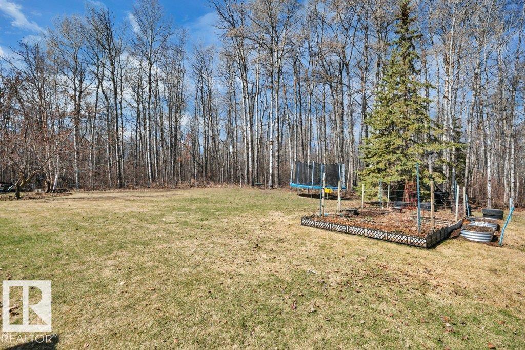 115 Crystal Springs Dr, Rural Wetaskiwin County, Alberta  T0C 2V0 - Photo 59 - E4485529