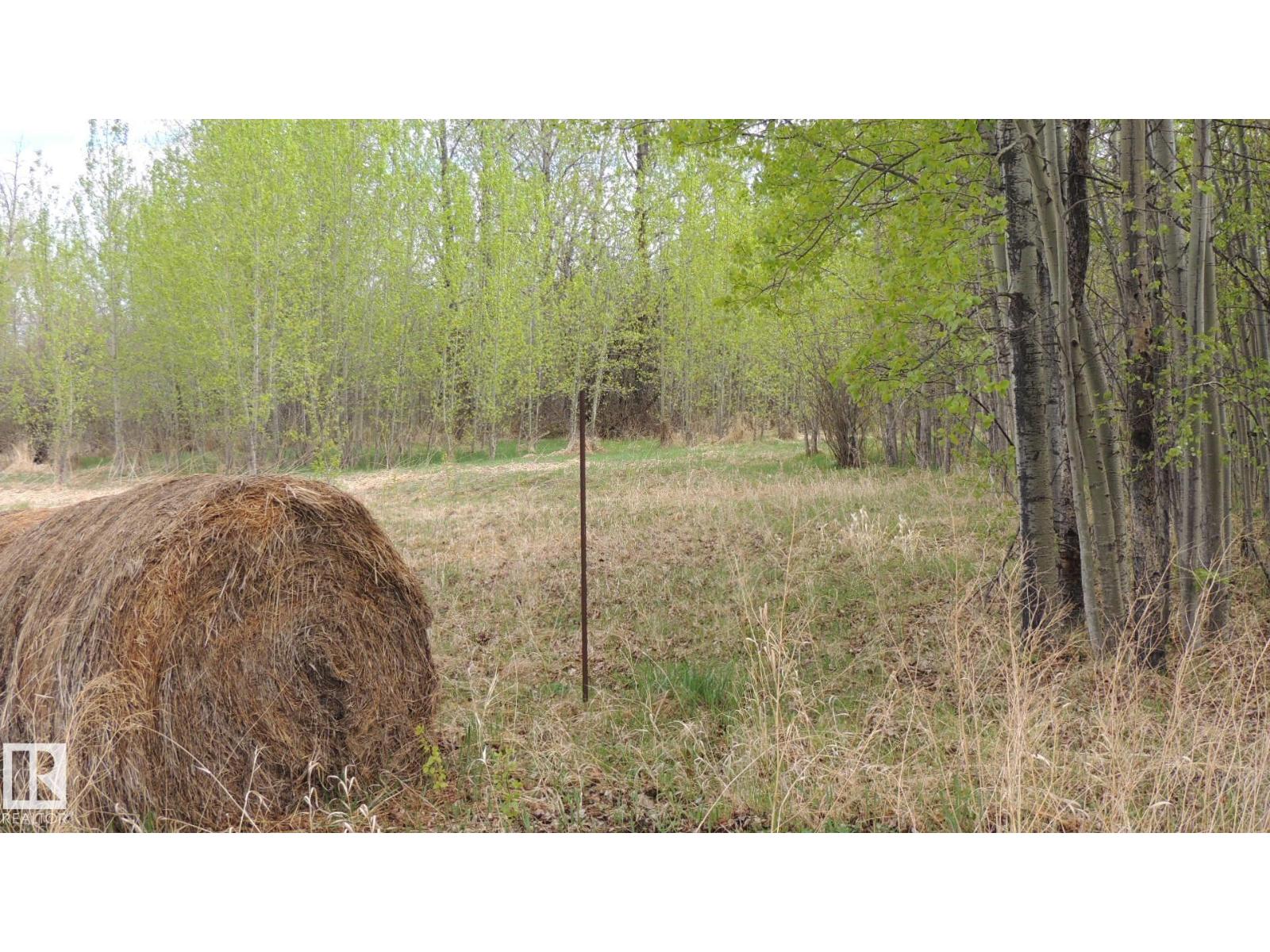 610-56102 Range Road 53, Cherhill, Alberta  T0E 0J0 - Photo 10 - E4485540
