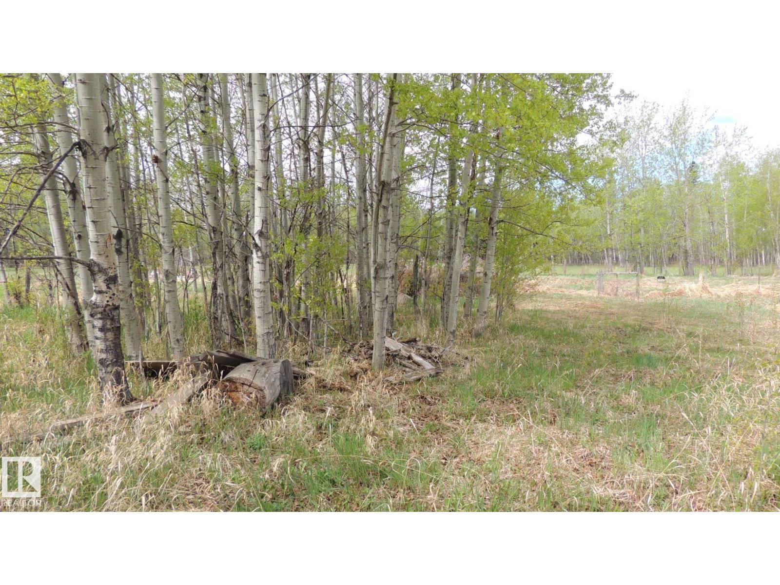 610-56102 Range Road 53, Cherhill, Alberta  T0E 0J0 - Photo 6 - E4485540