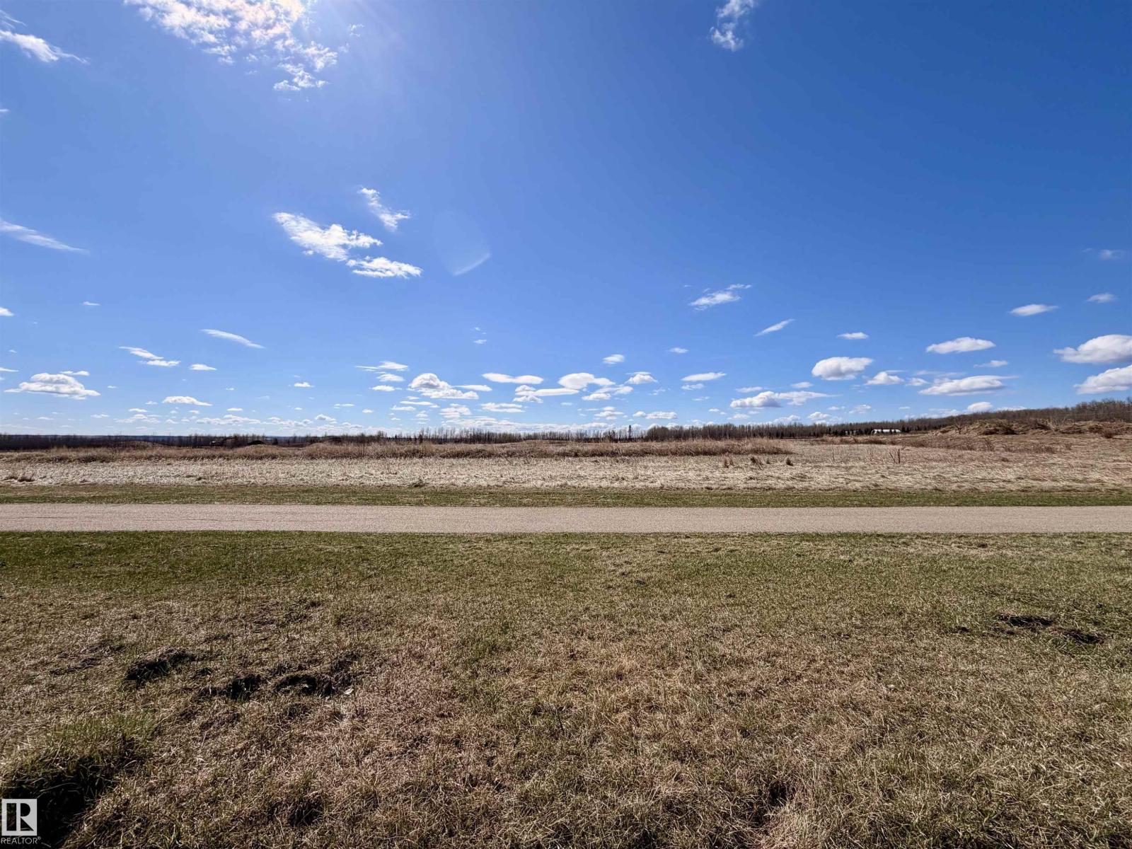 4017 41b Ave, Drayton Valley, Alberta T7A 0B5 - Photo 5 - E4485986