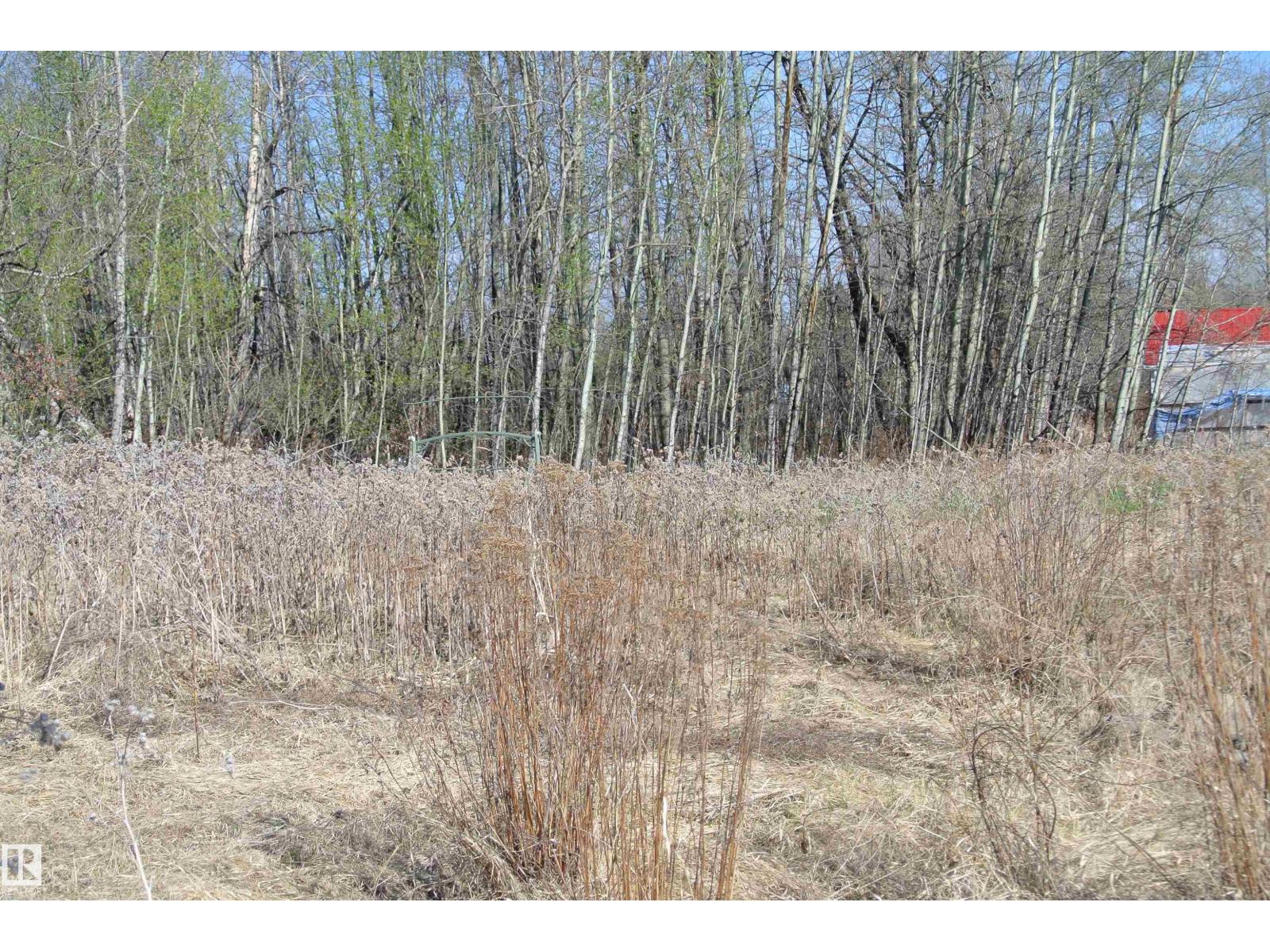 5012 50a St, Wildwood, Alberta  T0E 2M0 - Photo 5 - E4486373