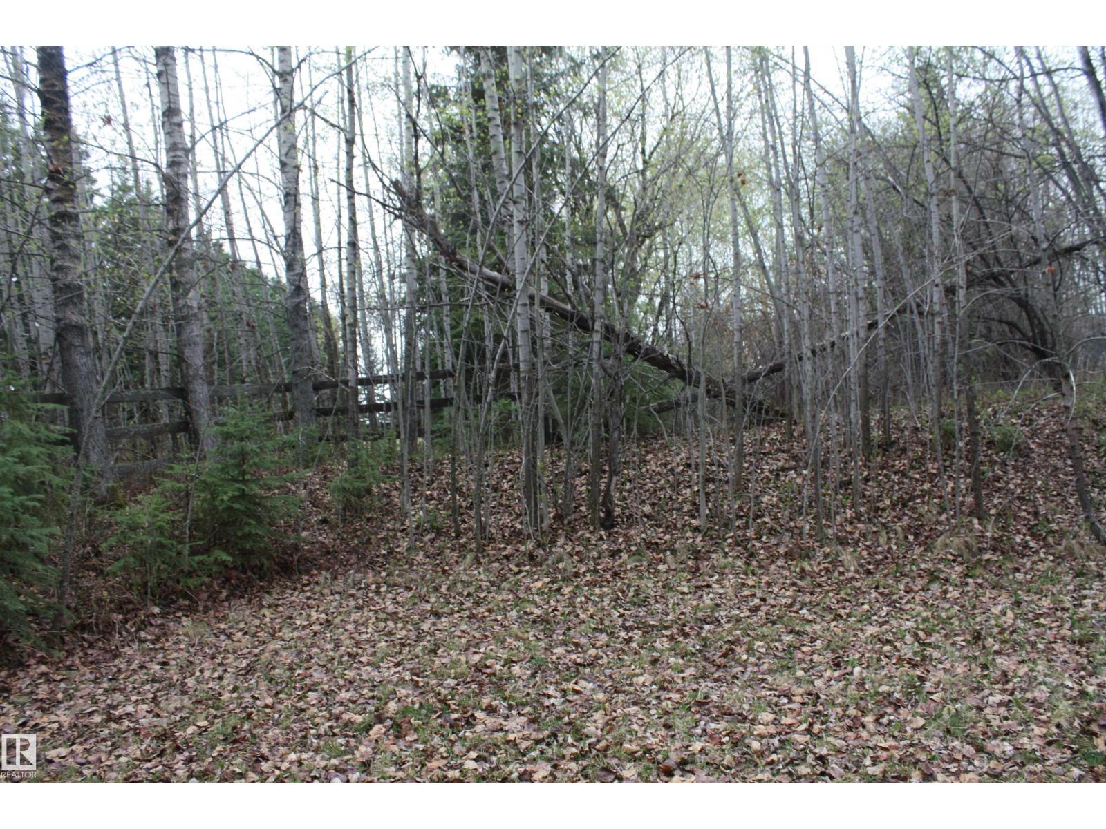 13 61076 Twp Road 462 A, Rural Wetaskiwin County, Alberta  T0C 0T0 - Photo 3 - E4486431