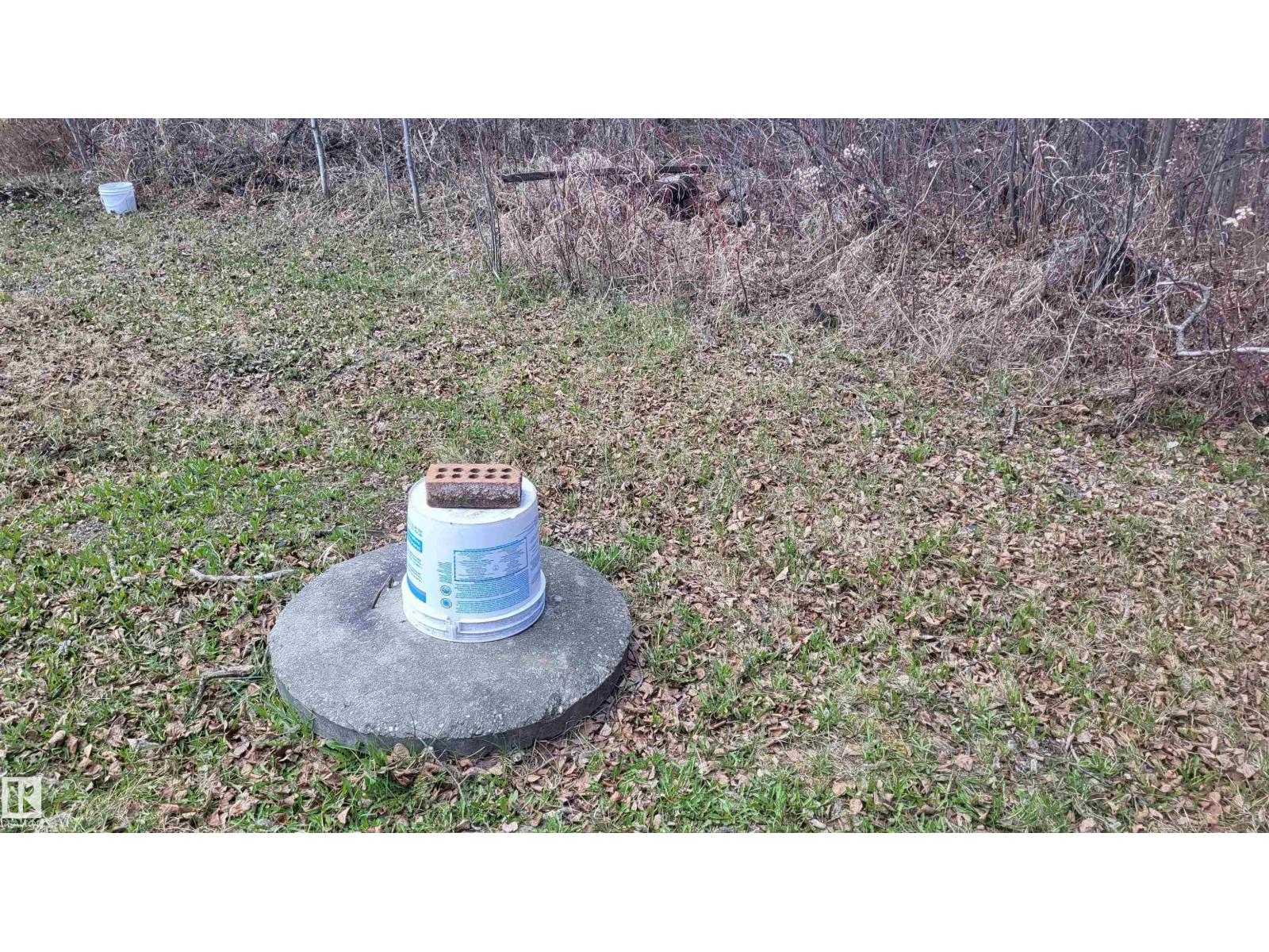 Lot 50 5429 Township Road 494, Rural Brazeau County, Alberta T0C 1W0 - Photo 17 - E4486569