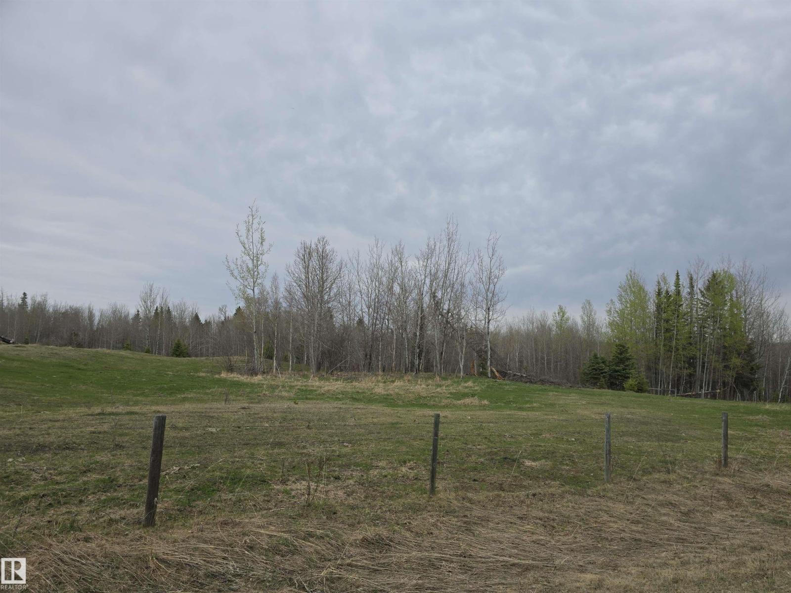#0 0 460059 Rge Road 24, Rural Wetaskiwin County, Alberta  T0C 2V0 - Photo 14 - E4487071
