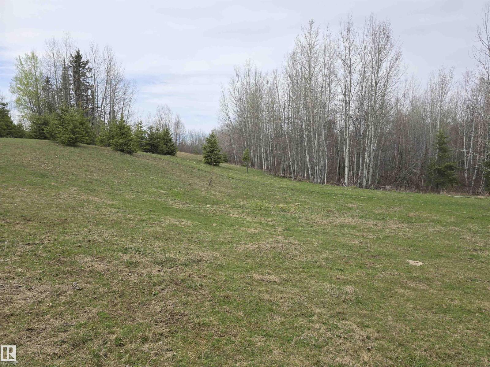 #0 0 460059 Rge Road 24, Rural Wetaskiwin County, Alberta  T0C 2V0 - Photo 15 - E4487071