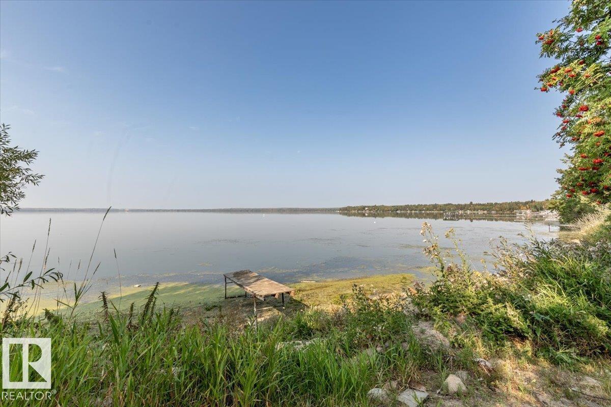 60 Beach Ave, Rural Leduc County, Alberta T0C 2C0 - Photo 3 - E4487192
