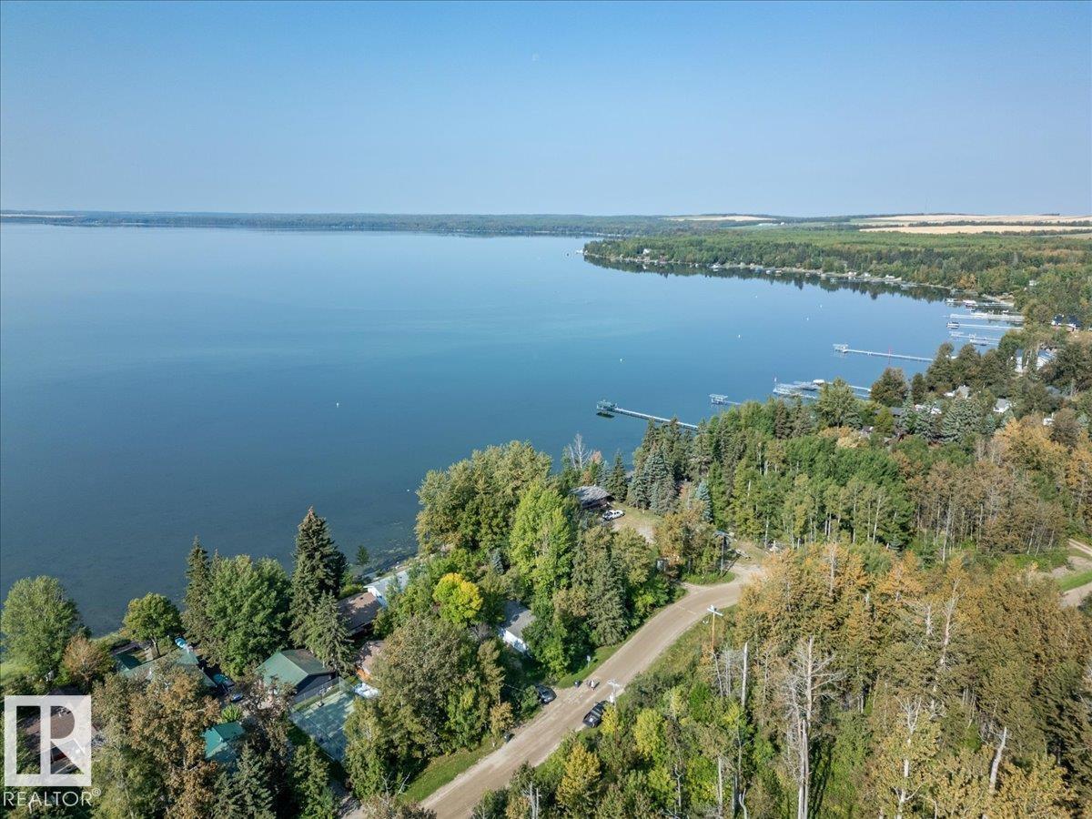 60 Beach Ave, Rural Leduc County, Alberta T0C 2C0 - Photo 43 - E4487192
