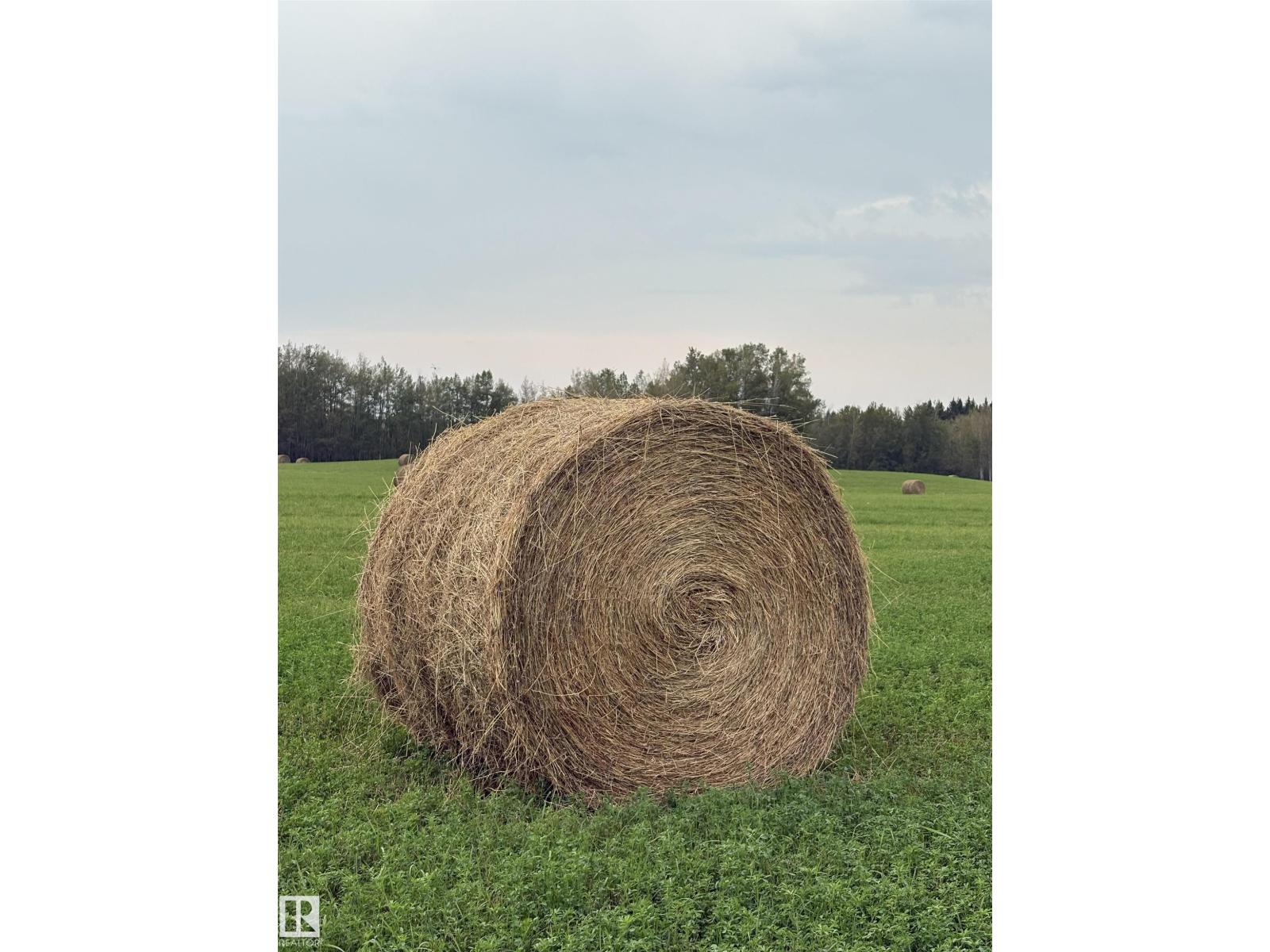 5109 Hwy 616, Rural Brazeau County, Alberta  T0C 0P0 - Photo 10 - E4487386