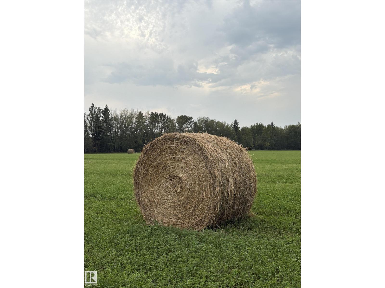 5109 Hwy 616, Rural Brazeau County, Alberta  T0C 0P0 - Photo 11 - E4487386