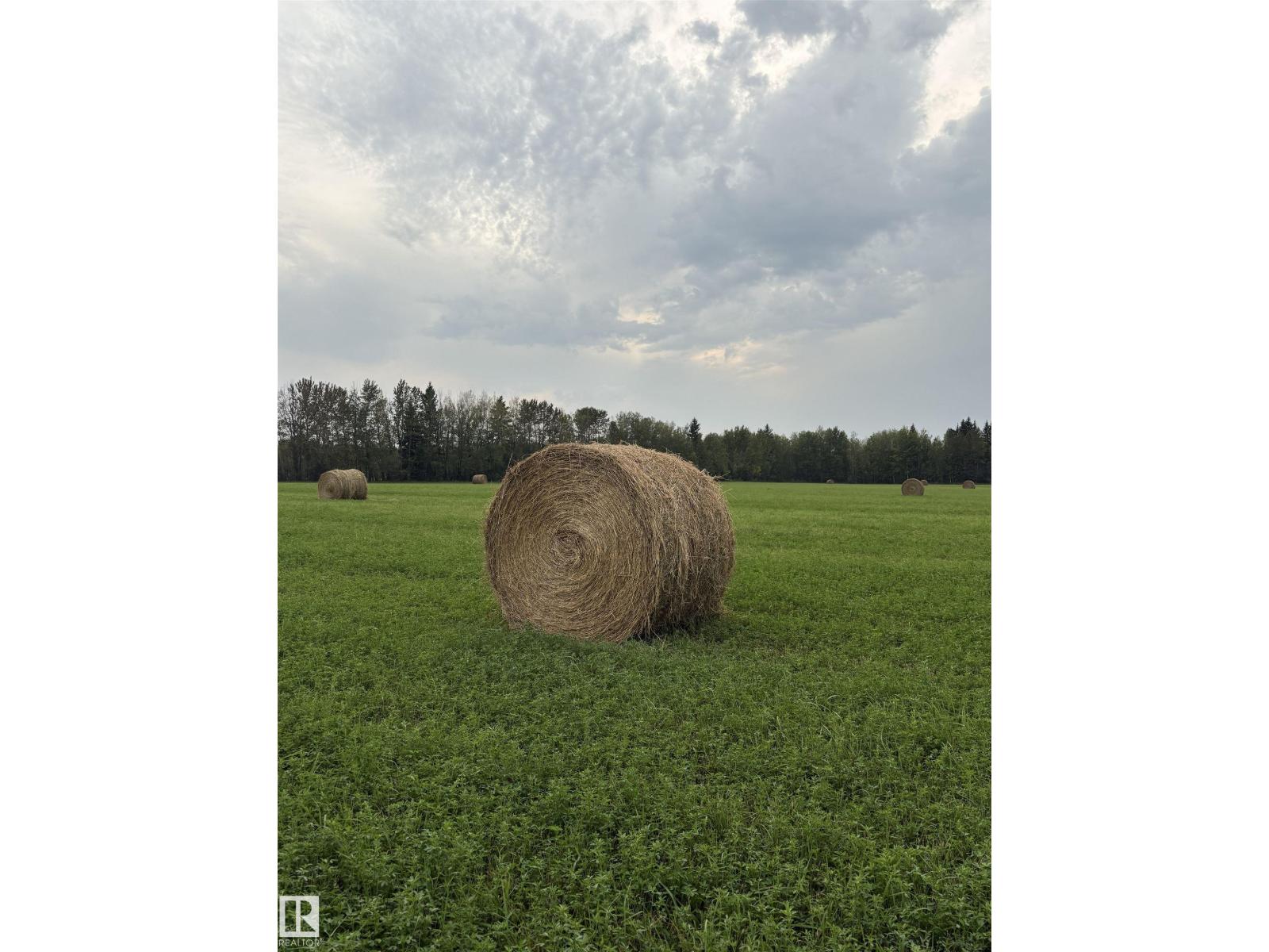 5109 Hwy 616, Rural Brazeau County, Alberta  T0C 0P0 - Photo 12 - E4487386