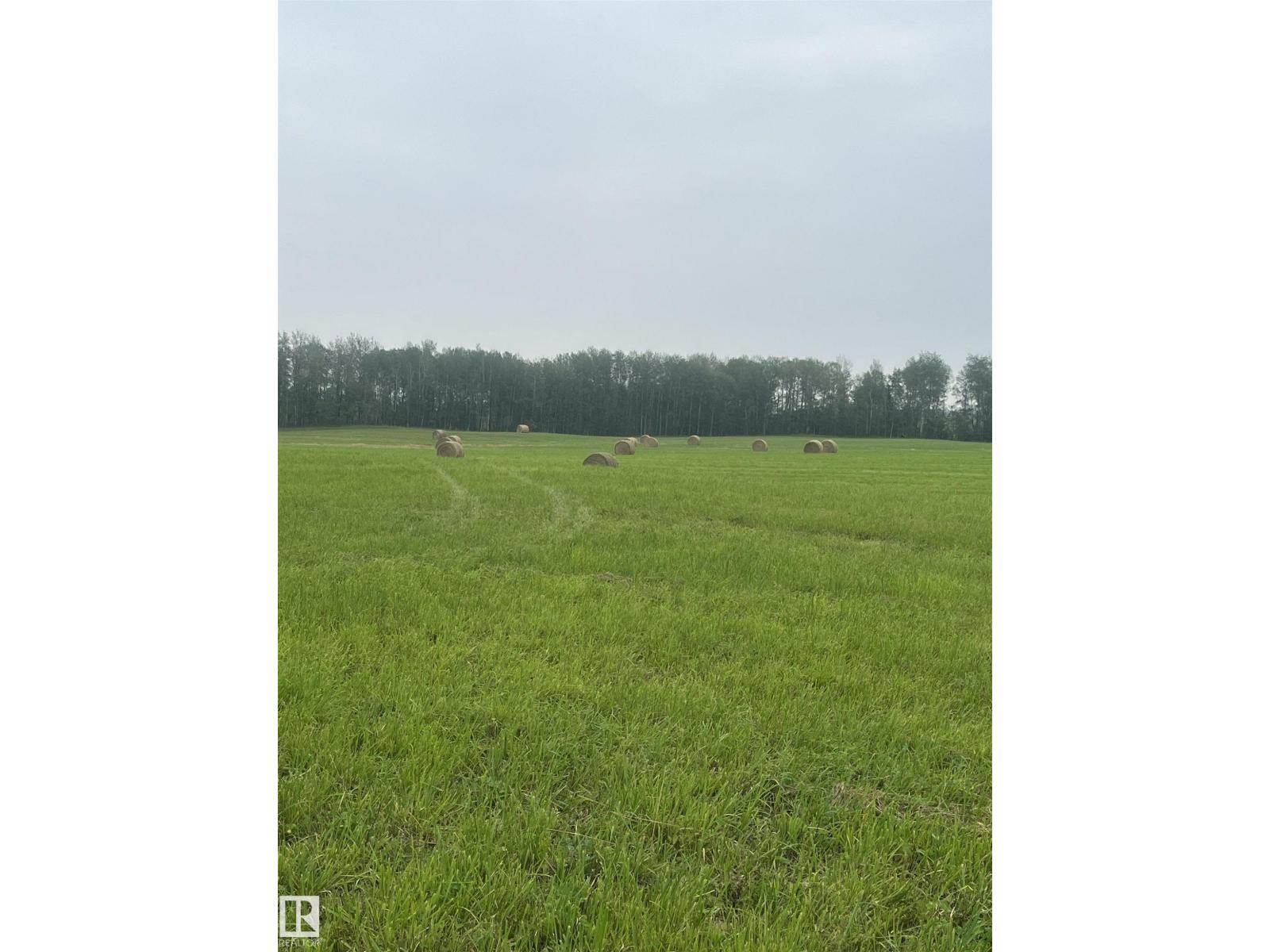 5109 Hwy 616, Rural Brazeau County, Alberta  T0C 0P0 - Photo 8 - E4487386