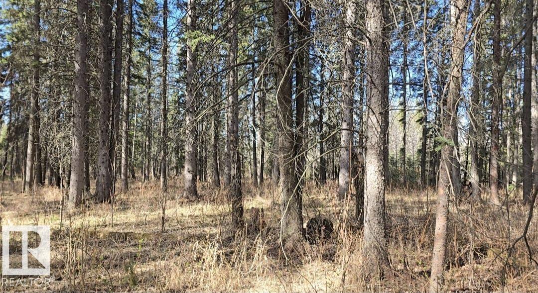 106 4 St, Winfield, Alberta T0C 2X0 - Photo 1 - E4487461
