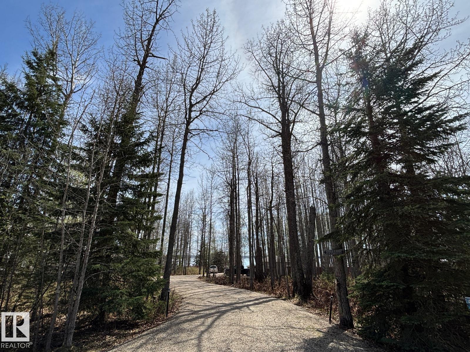 41 465022 Range Road 62, Rural Wetaskiwin County, Alberta T0C 0T0 - Photo 34 - E4487475