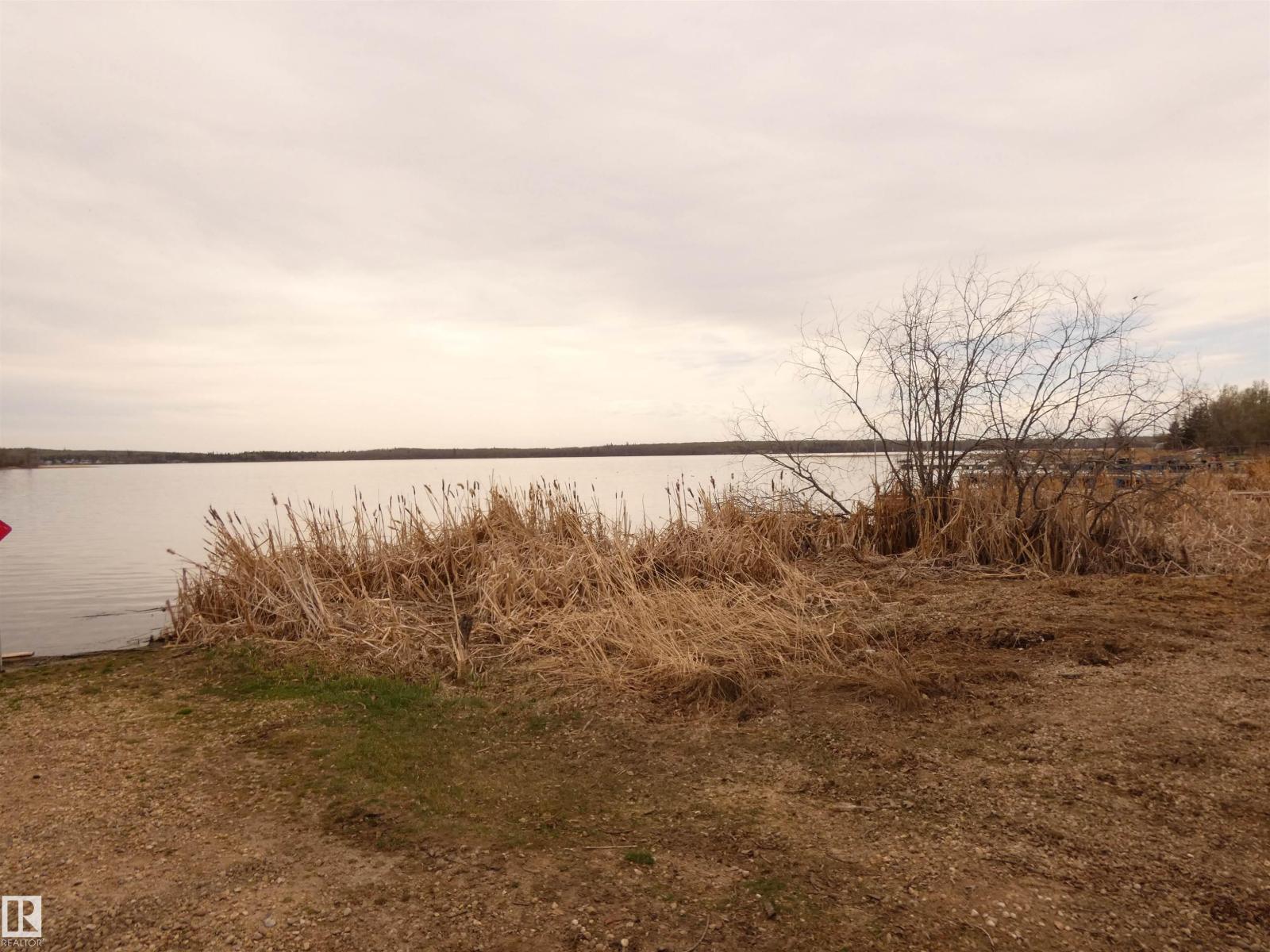 706 Meadow Av, Rural Barrhead County, Alberta T0E 1A0 - Photo 42 - E4487555