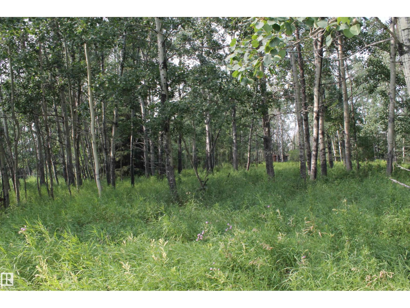 6021 Twp Road 571, Rural Lac Ste. Anne County, Alberta  T0E 0J0 - Photo 10 - E4487988