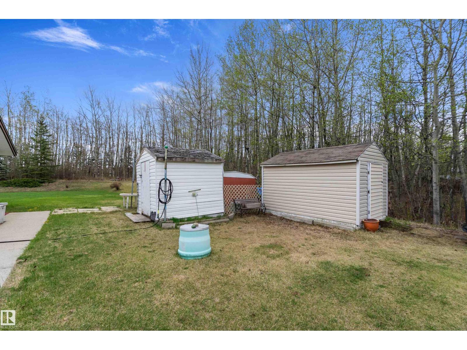 4802 22 St, Rural Wetaskiwin County, Alberta T0C 2C0 - Photo 43 - E4488057
