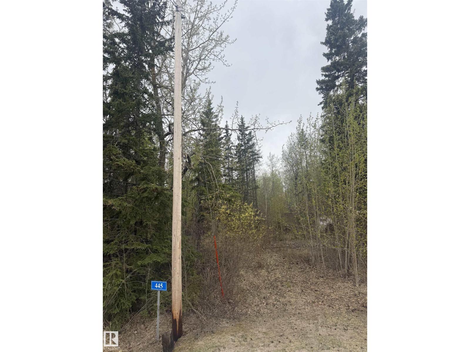 445 Lakeview Dr, Rural Lac Ste. Anne County, Alberta  T0E 1V0 - Photo 2 - E4488218