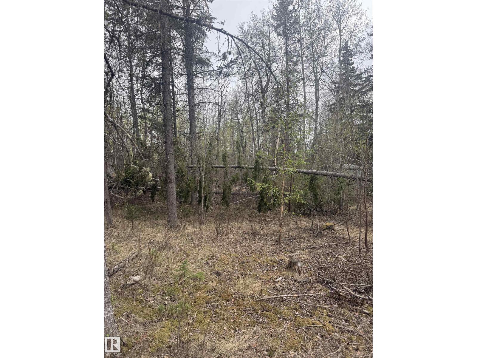 445 Lakeview Dr, Rural Lac Ste. Anne County, Alberta  T0E 1V0 - Photo 6 - E4488218