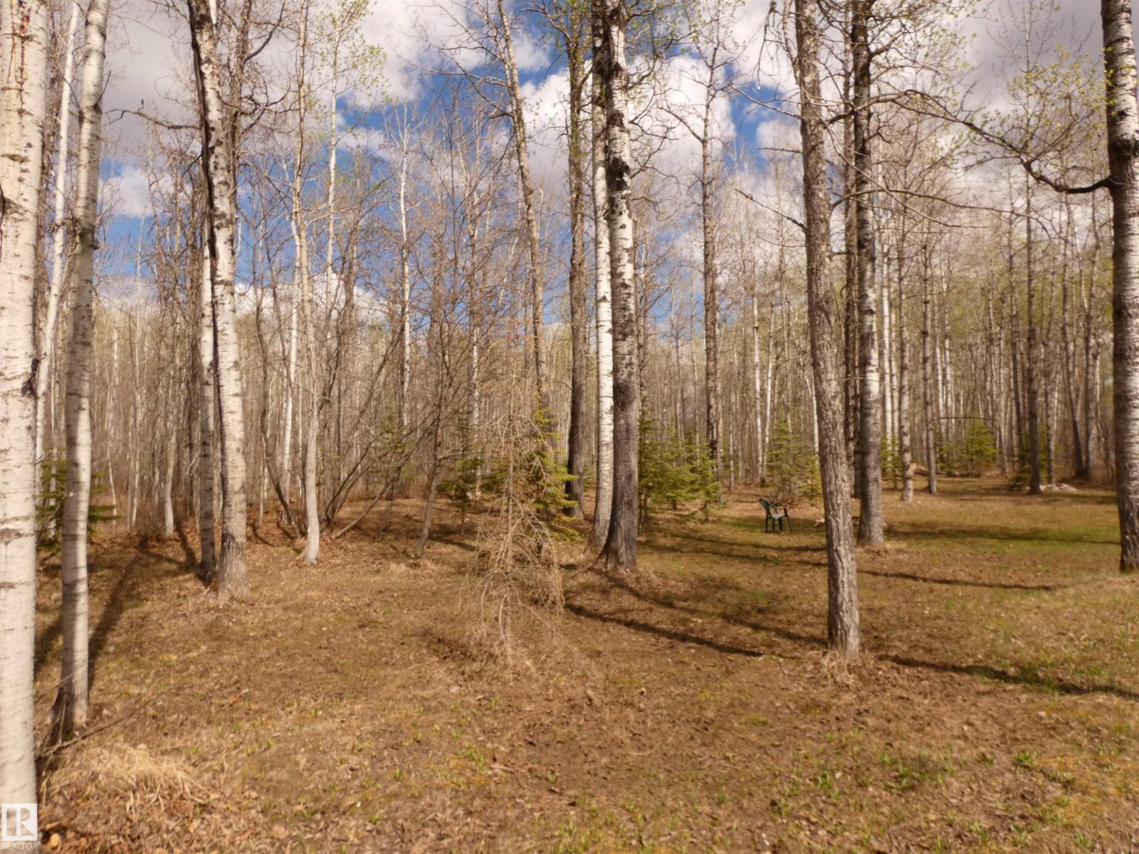 307 Willow Pl, Rural Barrhead County, Alberta T0E 1A0 - Photo 19 - E4488256
