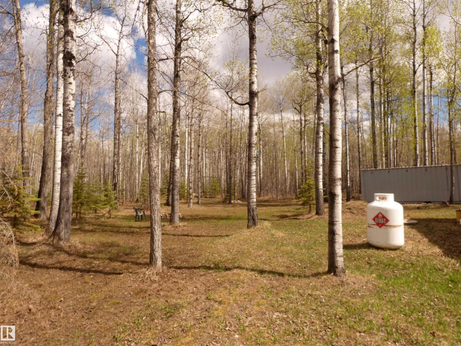 307 Willow Pl, Rural Barrhead County, Alberta T0E 1A0 - Photo 20 - E4488256