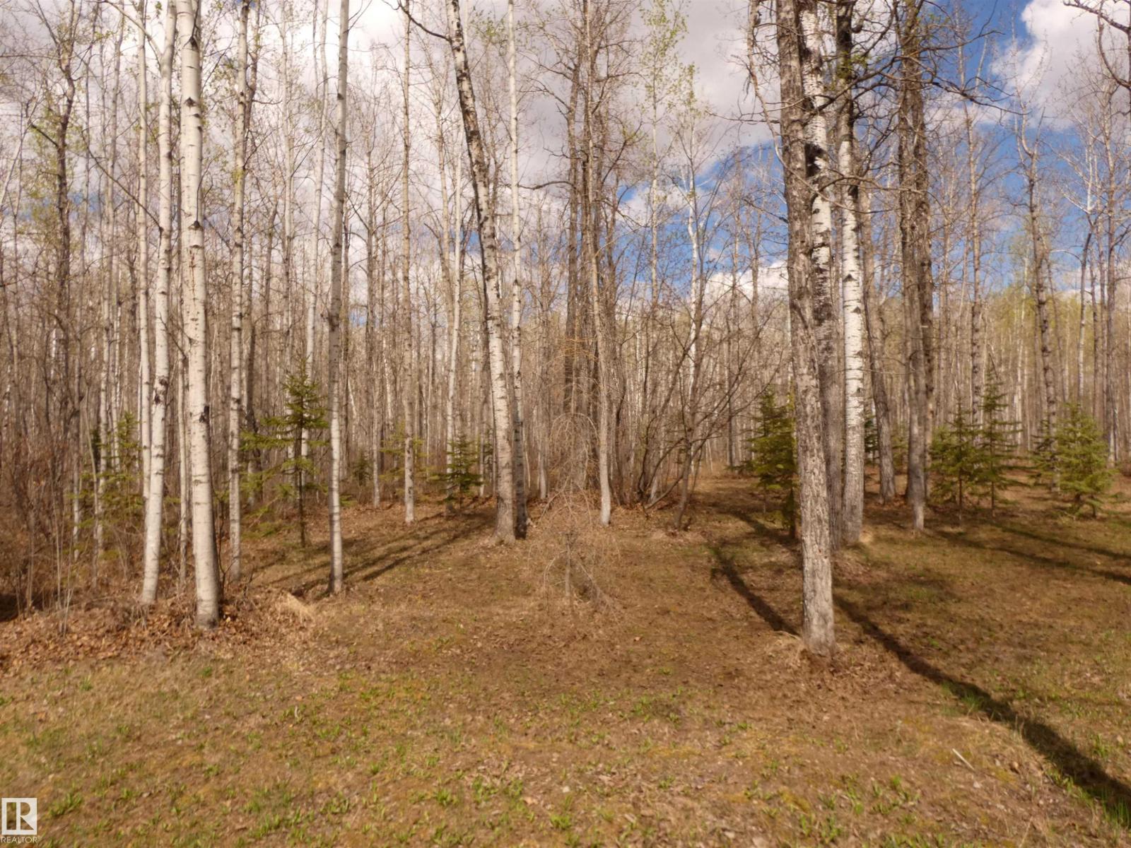 307 Willow Pl, Rural Barrhead County, Alberta T0E 1A0 - Photo 21 - E4488256