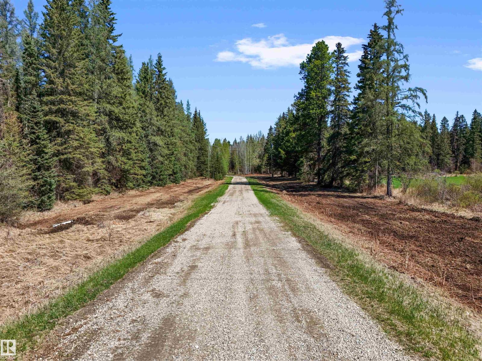 8012 Hwy 620, Rural Brazeau County, Alberta T0E 1Z0 - Photo 10 - E4488353