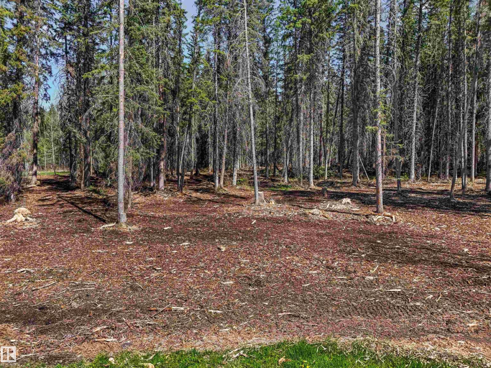 8012 Hwy 620, Rural Brazeau County, Alberta T0E 1Z0 - Photo 11 - E4488353