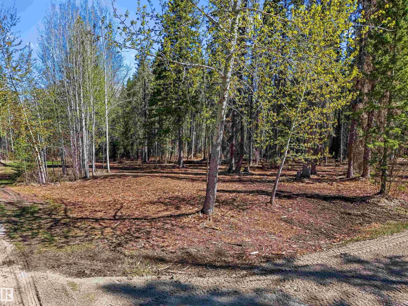 8012 Hwy 620, Rural Brazeau County, Alberta T0E 1Z0 - Photo 12 - E4488353