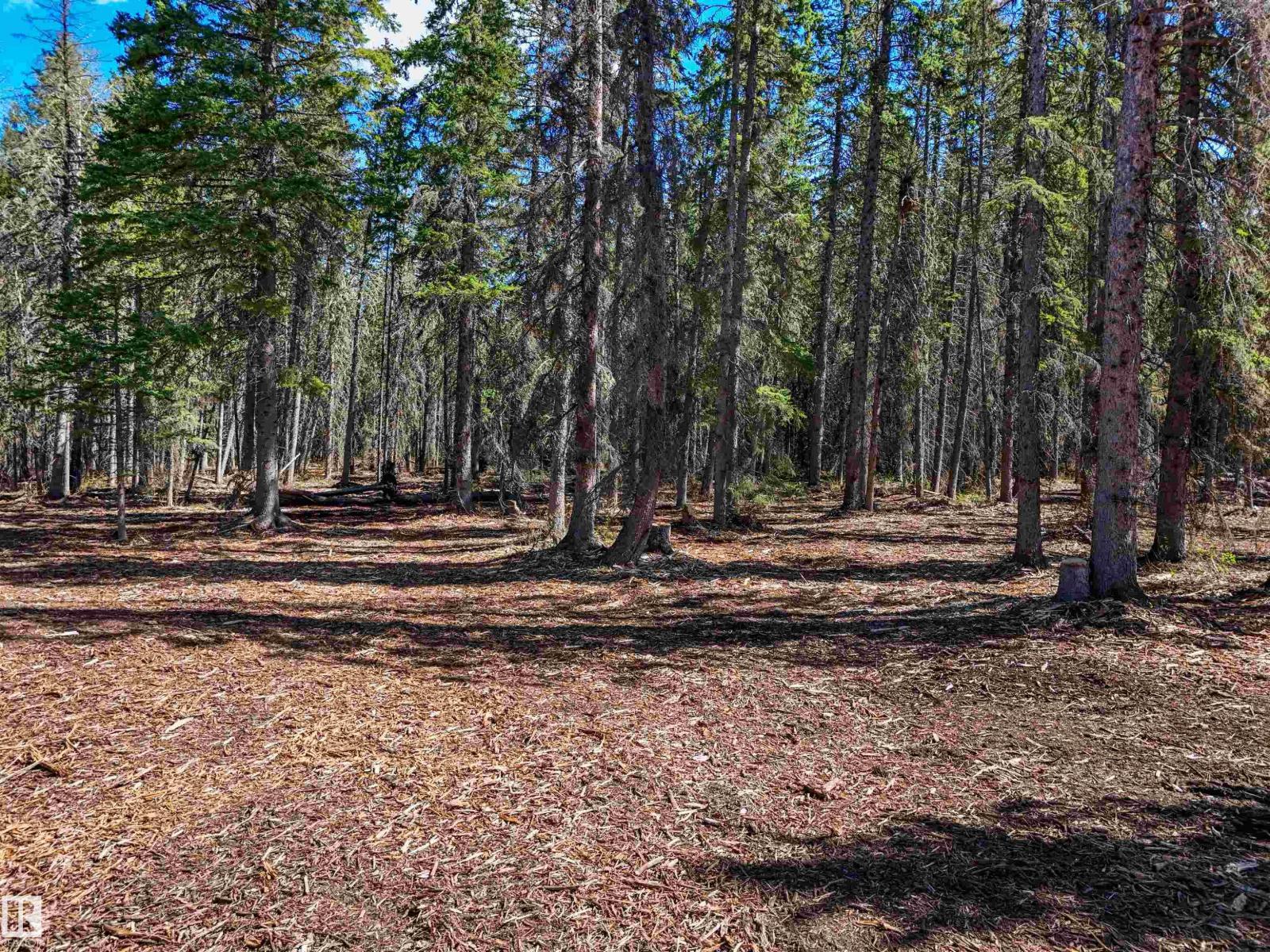 8012 Hwy 620, Rural Brazeau County, Alberta T0E 1Z0 - Photo 13 - E4488353