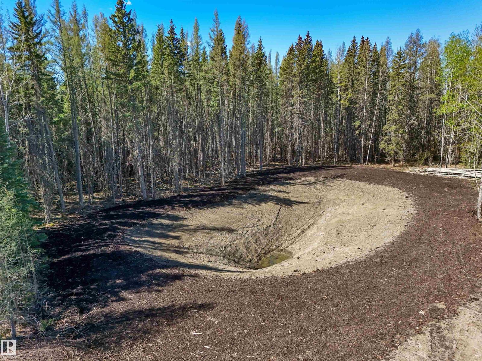 8012 Hwy 620, Rural Brazeau County, Alberta T0E 1Z0 - Photo 14 - E4488353