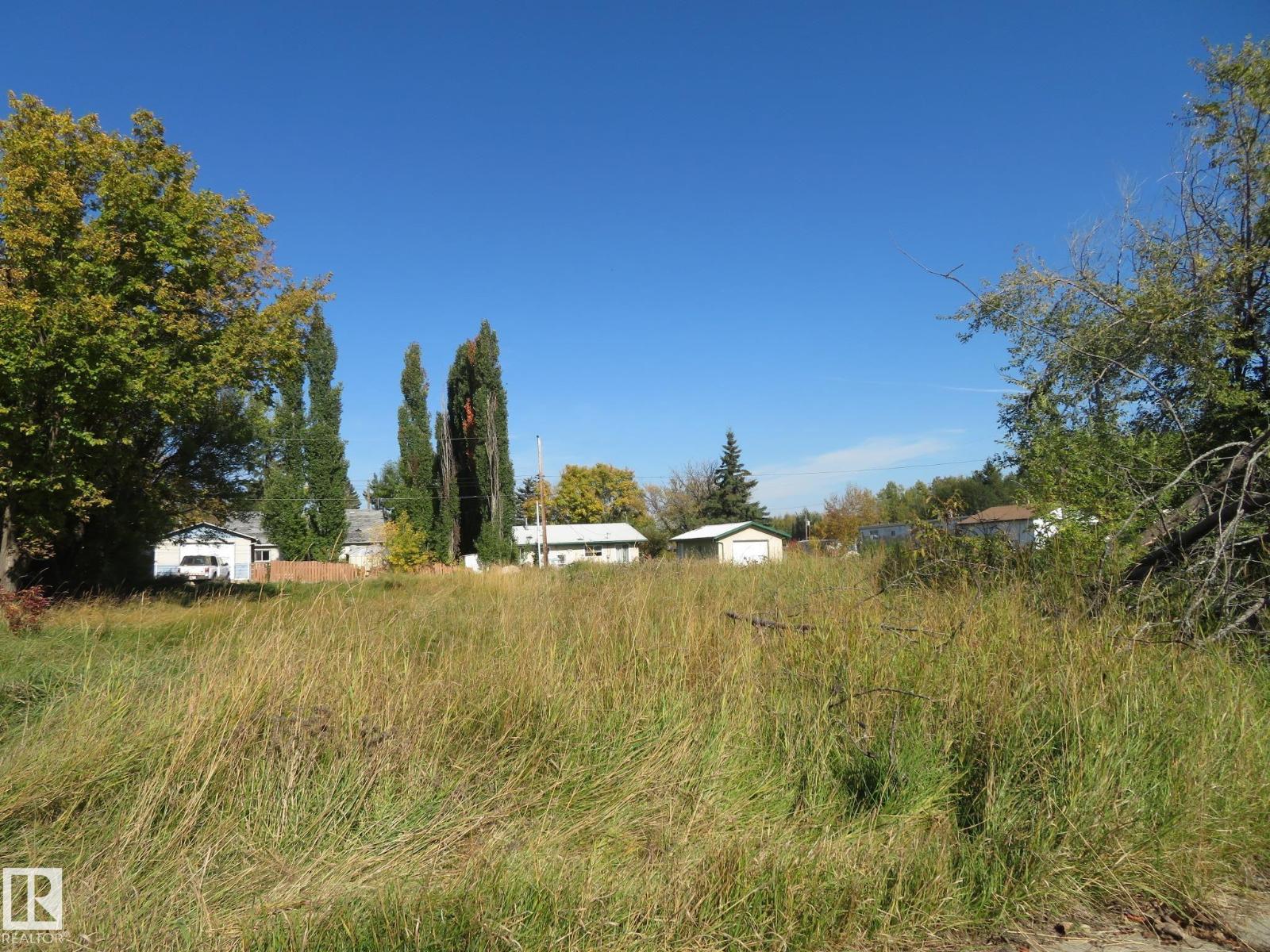 4808 50 Av, Sangudo, Alberta T0E 2A0 - Photo 11 - E4488505
