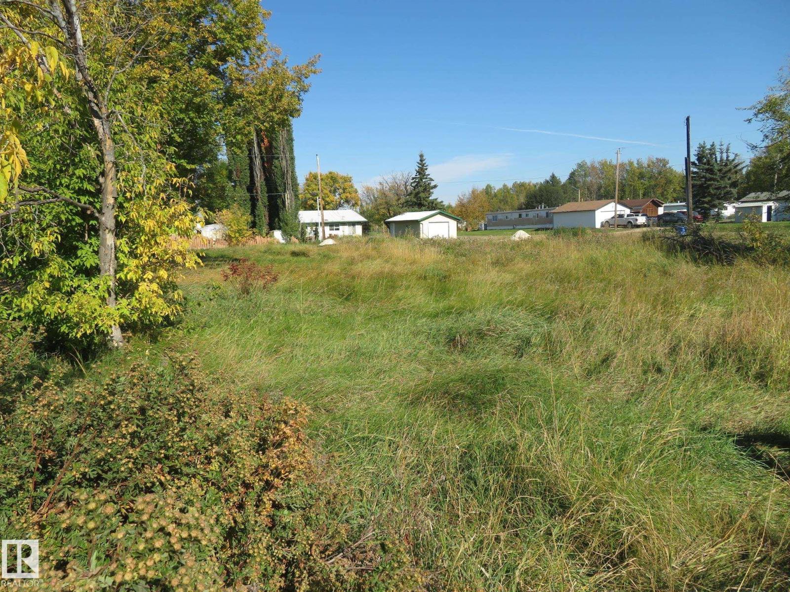 4808 50 Av, Sangudo, Alberta T0E 2A0 - Photo 12 - E4488505