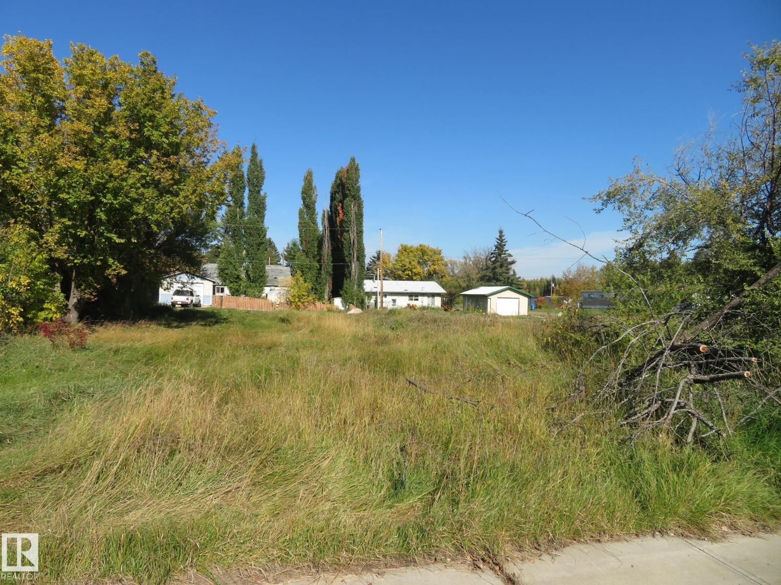 4808 50 Av, Sangudo, Alberta T0E 2A0 - Photo 13 - E4488505