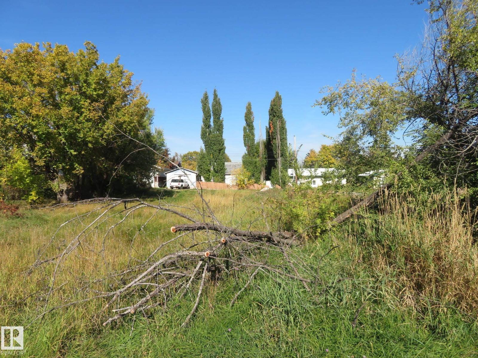 4808 50 Av, Sangudo, Alberta T0E 2A0 - Photo 14 - E4488505