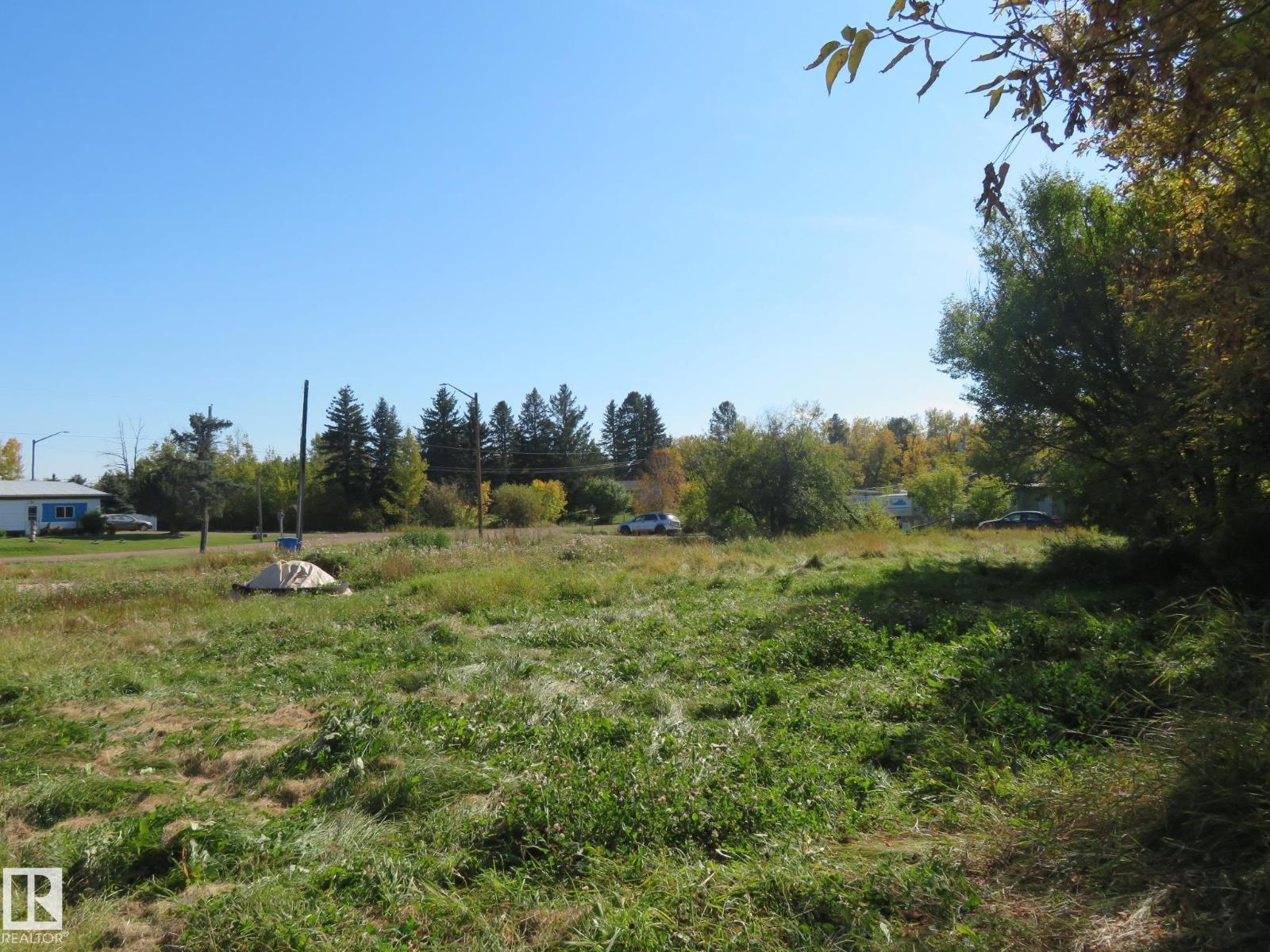4808 50 Av, Sangudo, Alberta T0E 2A0 - Photo 15 - E4488505