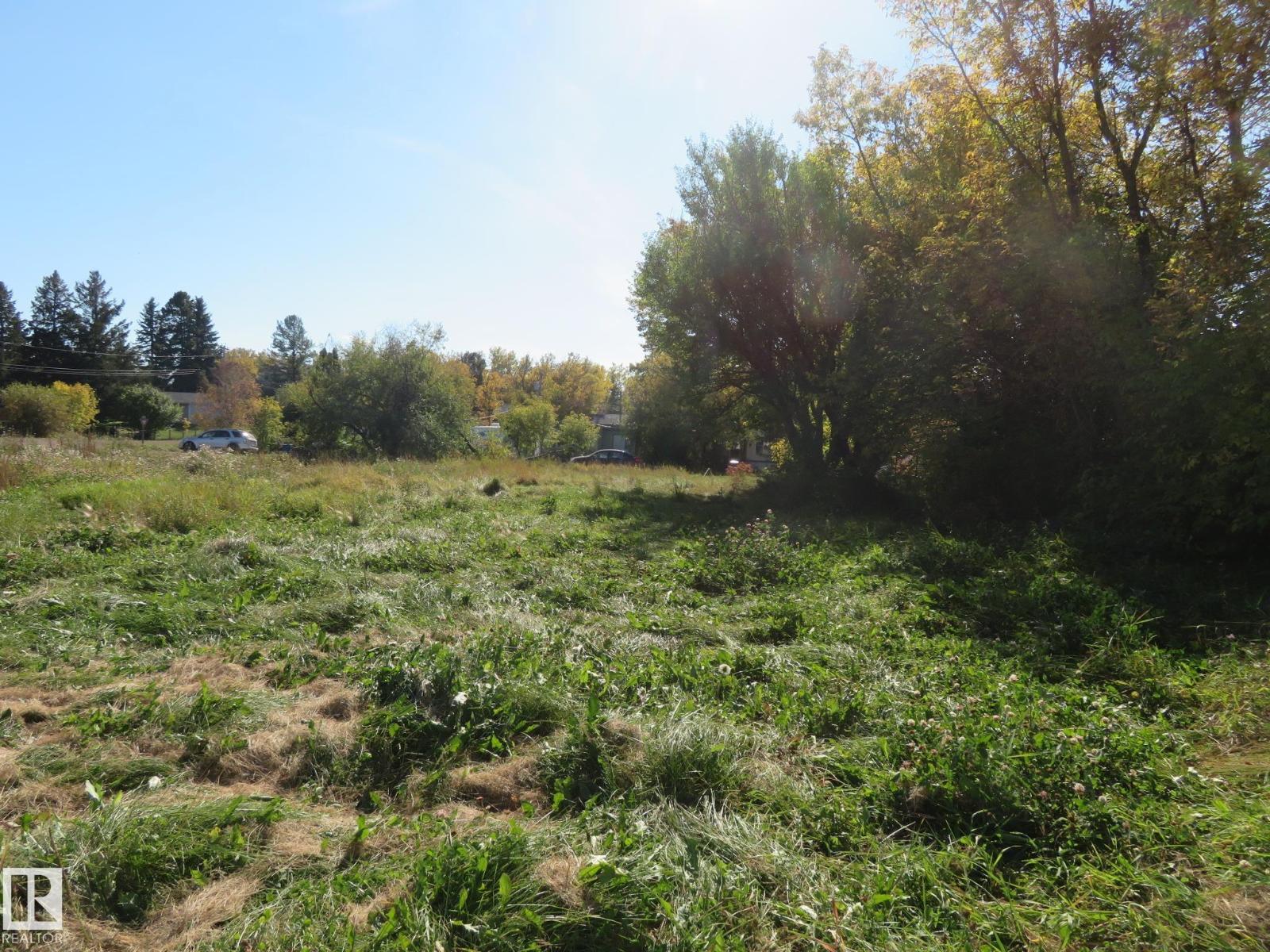 4808 50 Av, Sangudo, Alberta T0E 2A0 - Photo 16 - E4488505