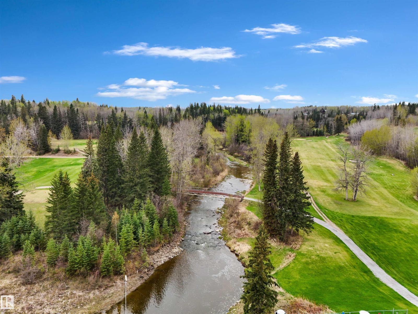 158 Birchwood Country Condo, Rural Brazeau County, Alberta T0C 1W0 - Photo 11 - E4488784