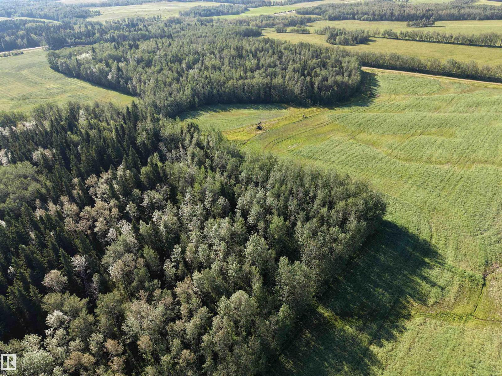 4104 Twp Road 473a, Rural Brazeau County, Alberta T0C 0P0 - Photo 49 - E4488832